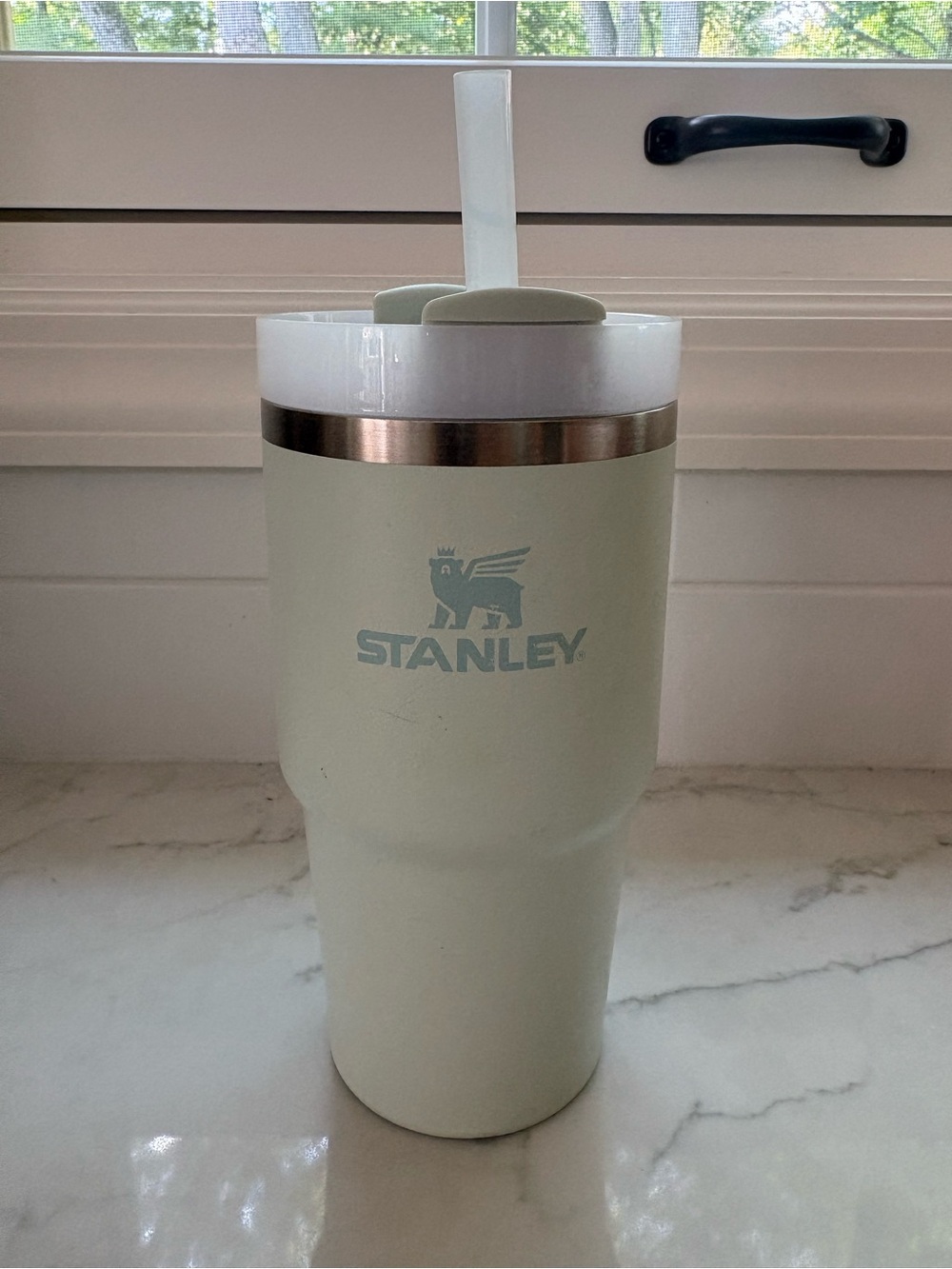 20oz Stanley in Mist
